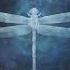 My 15 Favorite Amethystium Songs From Odonata 20th Anniversary Aphelion Evermind Isabliss