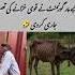 Surah Yasin Rahman Yaseen Rehman Online Quran Tilawat Juma Naat Ishq Status