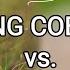 King Cobra Vs Black Mamba Battle Of The Deadly Snakes