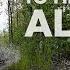 Van Life Alaska Border Crossing Struggling To Find Camp