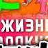ВСЕ ТРАВМЫ ВОЛКА ИЗ НУ ПОГОДИ ГЛАЗАМИ ВРАЧА ИСТОРИЯ БОЛЕЗНИ РЕАКЦИЯ на Кино Огонь