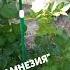 Вот и осень