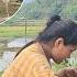 Tieu Nhu Went To Work The Curious CEO S Mother Came To Her House To Find Tieu Nhu And Her Mother