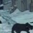 101 Dalmatians Best Scenes With Cruella De Vil