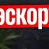 Мужчины в эскорте кто и за что им платит