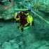ЙИИЛИТНЫЙ гайд Dota2 Windrunner Винда XP