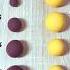 Burgundy Vs Yellow Color Mixing Colormixing Asmr Satisfying Fyp Claymixing Sosatisfying09