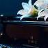 Relaxing Piano Ambient Music For Sleep Study Stress Relief Asher Fulero