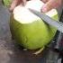 The Best Machete For Opening Coconuts