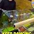 He Kept Dancing