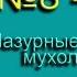 Мухоловка Лазурные мухоловки Голоса птиц