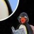 Pingu Theme Remix