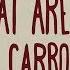 How Do Carbohydrates Impact Your Health Richard J Wood
