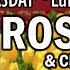 THURSDAY Holy Rosary Chaplet LUMINOUS Mysteries FEAST St RITA DAY 1 VISITATION Novena MAY 22