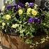 30 Easy Dollar Tree Summer Garden Ideas For Every Porch Patio Classy Practical