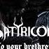 Satyricon To Your Brethren In The Dark Official Audio