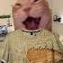 Любимый т9 мем котики футажи прикол Catmemes юмор мемы смех Cat Fypシ Viral
