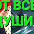 Песни от всей души Выпуск 13 04 2025