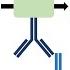 Indirect ELISA In 1 Minute