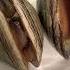 How To Open A Clam For Clams Casino I Don T Give A SHUCK Clamchowder Clam Seafood