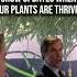 There S Nothing Like Sharing Your Grow When The Plants Are Thriving