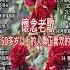 情歌對唱 精選30首经典国语老歌 Classic Chinese Songs 最愛懷舊經典老歌 Unforgettable Mandarin Oldies 往事只能回味 林淑容