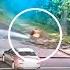 Motorcyclists Arrested For 120 Mph Speeds As Part Of Bellevue Emphasis Patrol