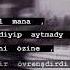 Manyly Setirler