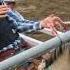 Omak Stampede 2018 Ad