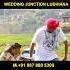 Laung Laachi Title Song Mannat Noor Ammy Virk Neeru Bajwa Amberdeep Latest Punjabi Song Reels