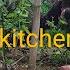 Clean Kitchen Garden Yangam Vlog