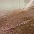 The Most Expensive Rug I Ve EVER Cleaned Watch The Luxury Transformation