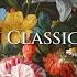경쾌하고 화려한 오스트리아 클래식 모음 Austrian Classical Music 모차르트 슈베르트 하이든 요한 슈트라우스 2세
