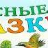 Лесные сказки Николай Сладков Зимние долги