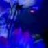 Radjiv Atadjanov Erke Qiz HQ 2011 Www Karstars Com
