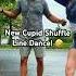 New Cupid Shuffle Line Dance Dance Cupidshuffle Trend Shorts Funny