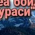 Воқеа сураси фазилати Воқеа ризқ сураси