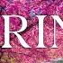Spring Flower 4K The Earth Awakens In A Tapestry Of Blossoms Piano Music
