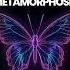 DIM3NSION Metamorphosis Extended Mix Bemind Records