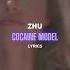 Zhu Cocaine Model