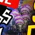 Warlords 4 SEMIFINALS 70 000 BEST SEMIS EVER