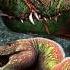 Tyrannosauridae An Overview Of The Dynasty Of Tyrannosaurus Rex