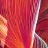 ASHER SWISSA Anorre Beza Original Mix