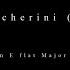 Boccherini String Quintet Op 41 N 1 G 346 With The Turkish Finale First Recording