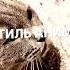 Аниме кот и трендовая музыка Поддержите лайком я сам монтировал этот эфект тренд топ