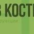 Скелет Строение и состав костей Видеоурок по биологии 8 класс