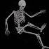 Wifiskeleton Nope Your Too Late I Already Died Mastered Extended Version
