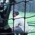Opinions On Braking A Torpedo Bat Sports Reels Baseball Viral Youtube