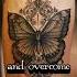 Metamorphosis Magnificence The Symbolic Journey Of The Butterfly In Cultural Mythology 4K UHD