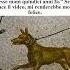 Gli Antichi Romani E Le Lapidi Per I Loro Cani